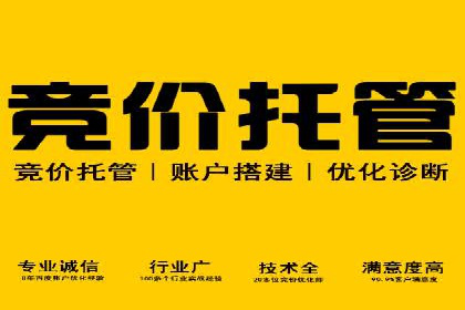 某行业SEM主管的优化策略与成果展示